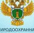 Стартовал прием заявок в программу «Инициативные инвестиционные проекты для развития муниципальной экономики» - Полесский городской округ